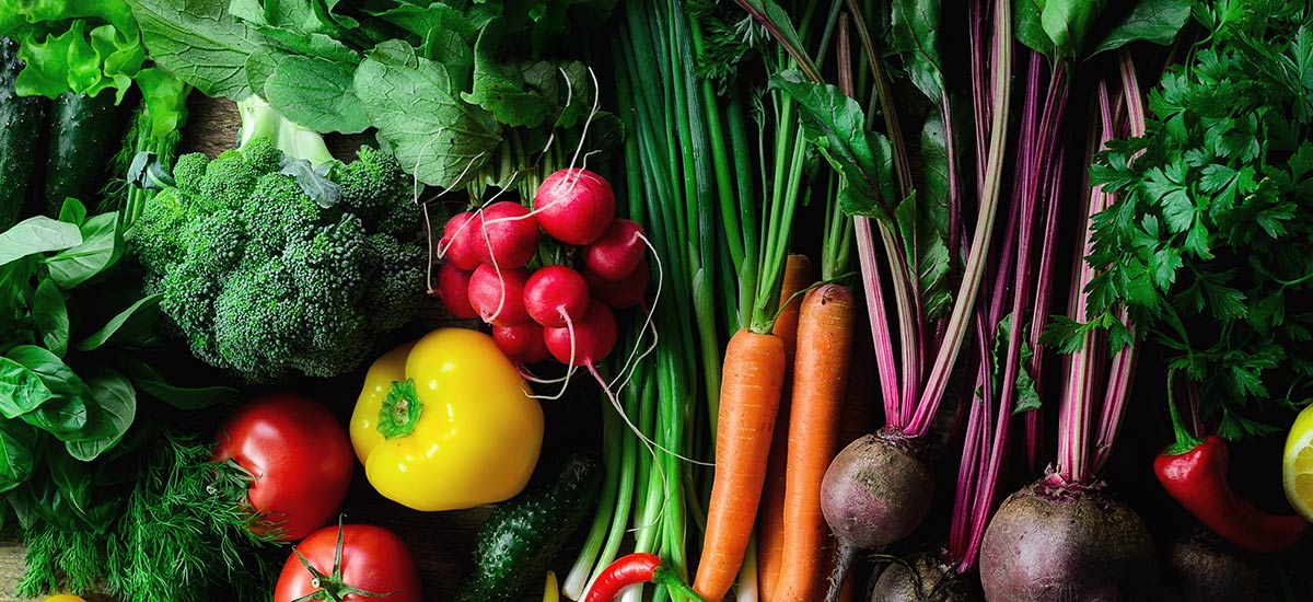 打造智慧化商业体系 抢占新型社交电商红利