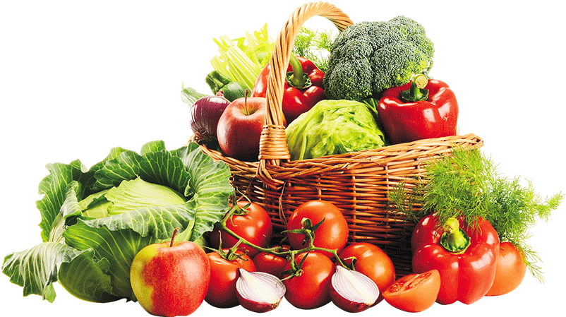 打造智慧化商业体系 抢占新型社交电商红利